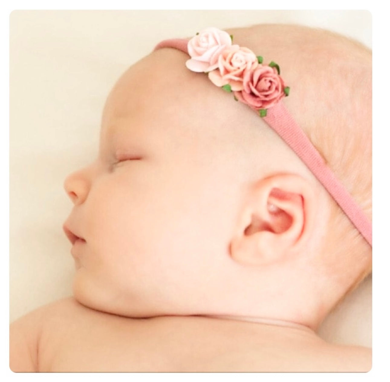 Eva Rose Trio - rose pink