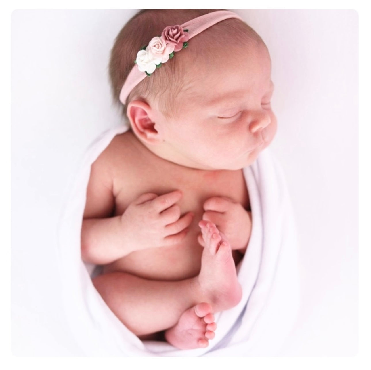 Eva Rose Trio - rose pink